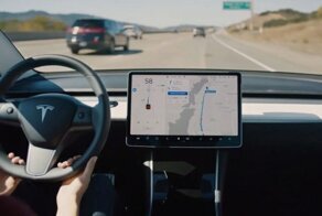 Автопилот Tesla избежал столкновения с кабаном