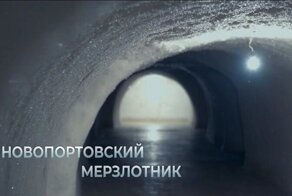 Самый большой в мире природный холодильник находится на Ямале