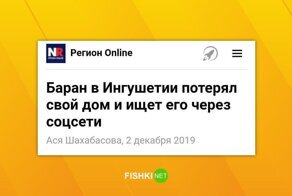 Искусство заголовка... Да что вообще происходит?