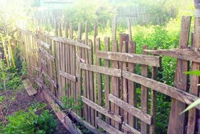 Полицейские избили парня, который пытался попасть к себе в дом через забор