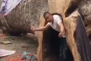 Мужчина вырезал целую сцену в упавшем дереве