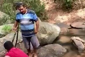 Нацельтесь на рыбу и нажмите на курок: подводная охота с помощью обычного ружья