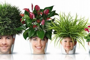 Прикольные цветочные горшки (7 фото)