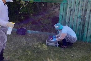 На пне или в багажнике: россияне делятся фото мест для голосования