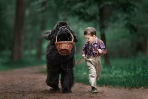 Фотографии полные добра и света!