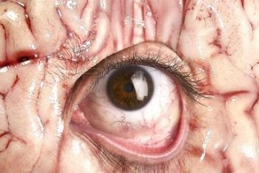 Страшная реклама (31 фото)