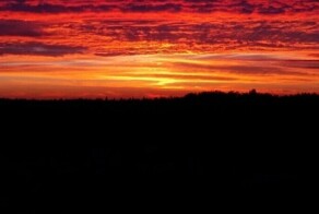 Трогательный стих про МАМУ