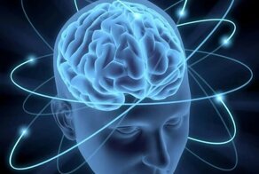 8 способов тренировать свой мозг, чтобы учиться быстрее