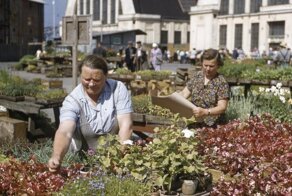 Фотографии былых времён. СССР от Томаса Хаммонда