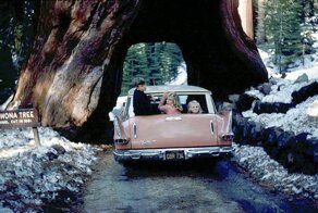 Как развлекались туристы в национальных заповедниках США 100 лет назад