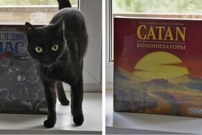#Яавтор. Первые победители
