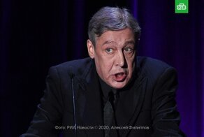 Михаил Ефремов отказался признавать вину в аварии со смертельным исходом