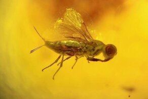 20 необычных фотографий