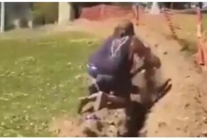 Спасение кенгуру с неожиданным финалом