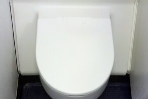 В гости к белому другу