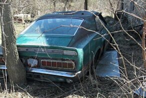 Посмотрите как умирают легенды: Shelby GT350 и кабриолет Camaro