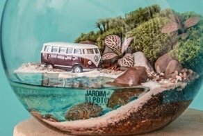 Уютные экосистемы в стеклянных емкостях