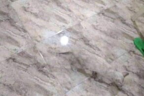 17 камуфляжных кадров, на разгадку которых уйдет больше 5 секунд