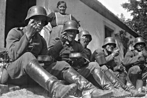 «КИШЕЧНАЯ дивизия» вермахта — почему она так называлась?