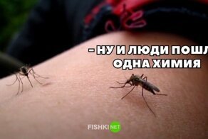 Картинки с надписями