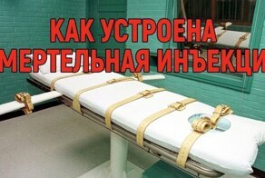 Наконец демократия возобновляет казни... федеральные