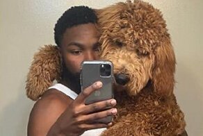 30 фото, которые доказывают, что собаки растут быстрее, чем дети