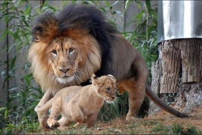 Дела семейные (3 фото)