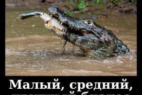 Прикольные демотиваторы обо всем на свете