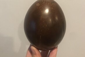 Как выглядит отполированный кокос