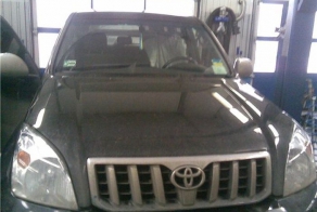 Пост про белочку и Прадик (5 фото)