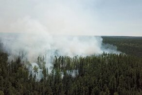 Пожары в Сибири пошли на убыль благодаря искусственным дождям