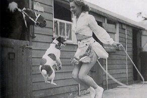 Теплое черно-белое