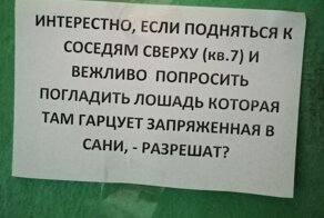 В нашем доме поселился замечательный сосед. Как выживают люди в "человейниках"
