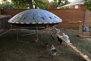 Таких курятников вы еще не видели!