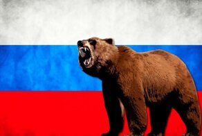 Как медведь по ошибке стал символом России