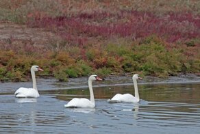 Сутки на Эльтоне. Ч.1