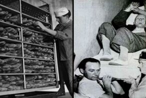 Нераскрытая тайна проклятого хлеба: кто виноват — ЦРУ, Сталин или спорынья?