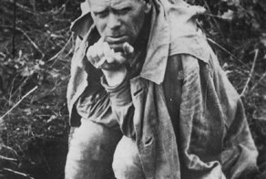 Жалкая подделка