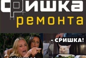 Убойные мемы с котом, которые заставят вас посмеяться от души