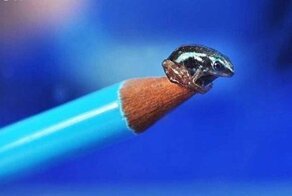 15 потрясающих воображение фотографий, доказывающих, что природа полна тайн