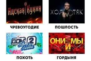 Кто и как видит деятельность ТВ-шоу?