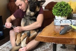 Забавная реакция собаки на стрижку когтей