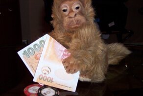 Самые глупые научные исследования