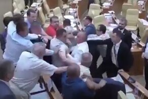 Депутаты в Ульяновске подрались из-за голубков