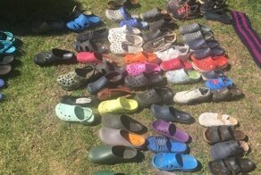 В Берлине поймали лису, которая воровала у местных жителей обувь