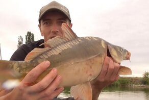 Рыбалка с ночевкой! Чайка кидается. Ловля карпа и плотвы на лодке. Удочка и поплавок