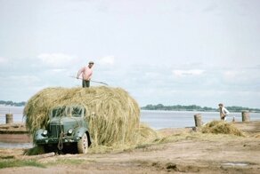 Фотографии из прошлого с автомобилями, грузовиками и автобусами