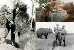 Удивительная история медведя, воевавшего во Второй мировой войне