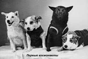 Из цикла "Былое"