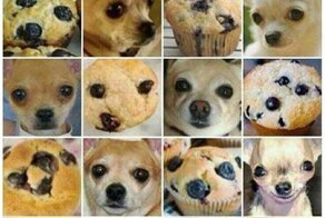 Продвинутая капча от гугла